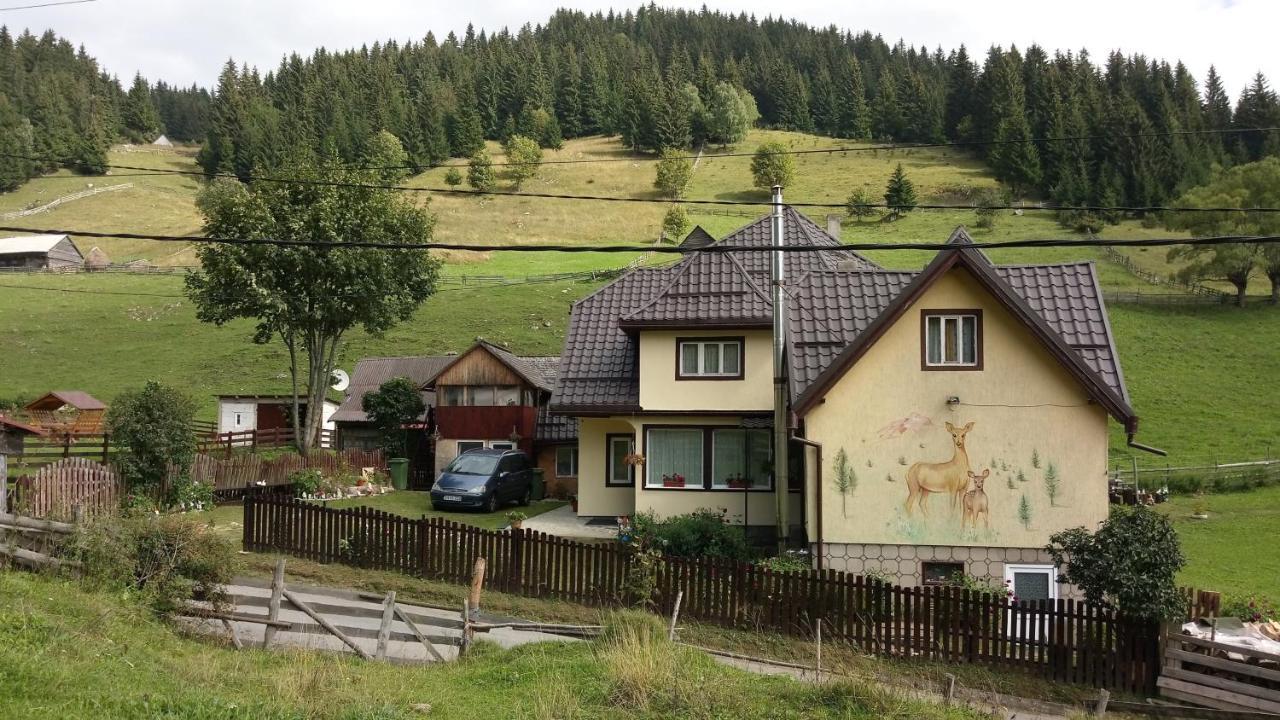 Casa Marcela Fundata Eksteriør billede